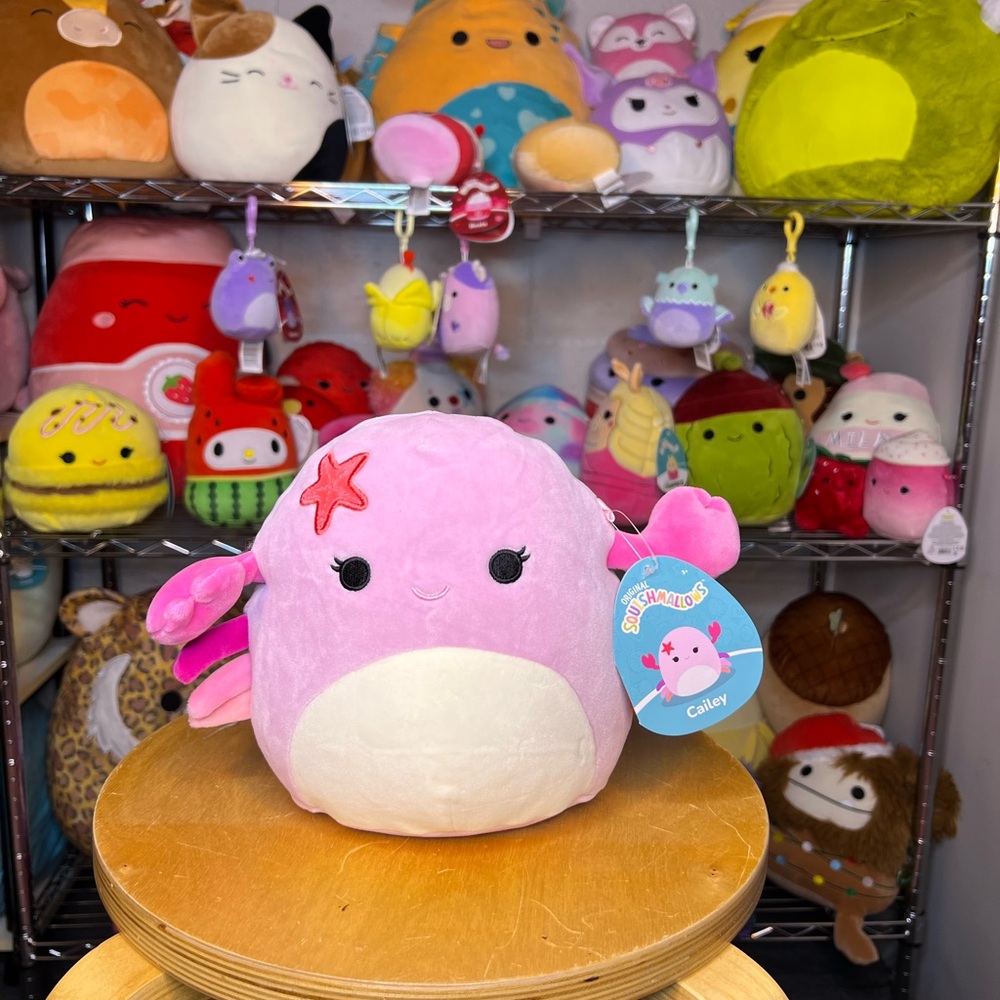 Squishmallows Cailey the Crab 🦀